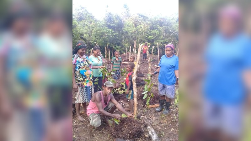 BOSAVI FARMERS NEED MARKET FOR PRODUCE