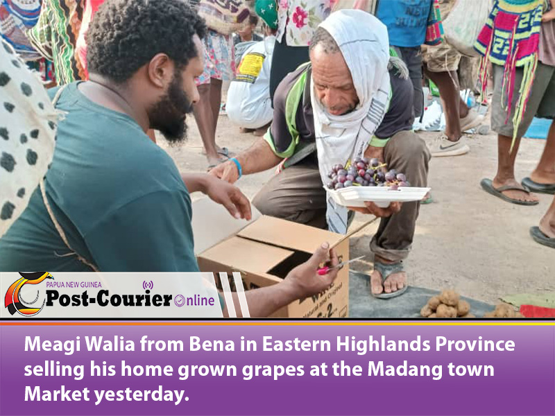 Goroka farmer sells locally grown grapes in Madang