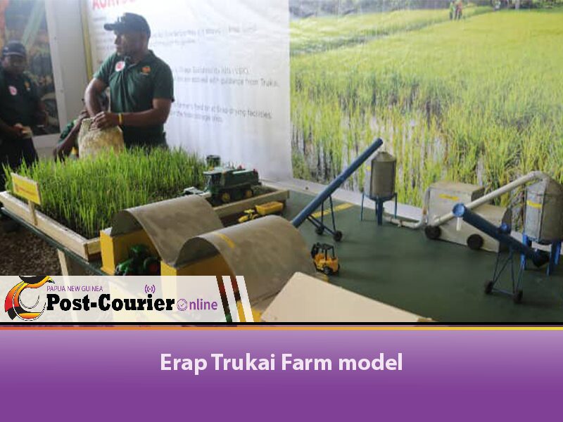 Erap Trukai Farm Showcases Rice Farming Model at Morobe Show